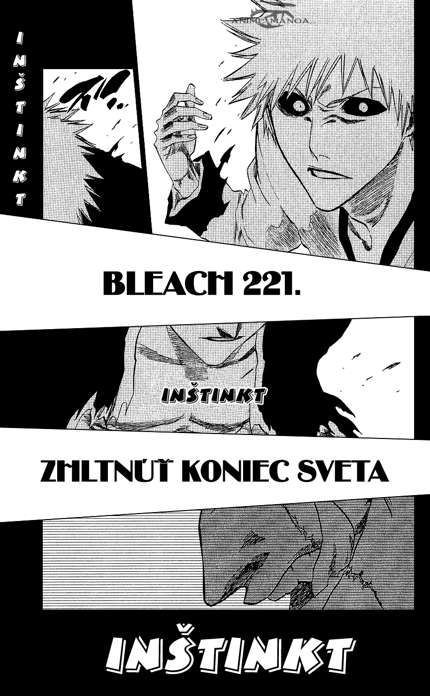 Bleach-25-07-03 kopie.jpg